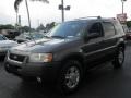Dark Shadow Grey Metallic - Escape XLT V6 Photo No. 5
