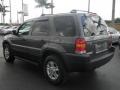 Dark Shadow Grey Metallic - Escape XLT V6 Photo No. 7