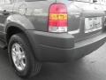 Dark Shadow Grey Metallic - Escape XLT V6 Photo No. 8