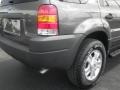 Dark Shadow Grey Metallic - Escape XLT V6 Photo No. 10