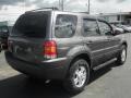 Dark Shadow Grey Metallic - Escape XLT V6 Photo No. 11