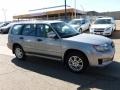 Steel Silver Metallic - Forester 2.5 X Sports Photo No. 2