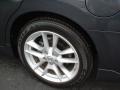 Dark Slate Metallic - Maxima 3.5 SV Photo No. 6
