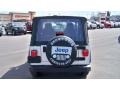 2004 Bright Silver Metallic Jeep Wrangler X 4x4  photo #6