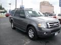Sterling Grey Metallic 2010 Ford Expedition XLT