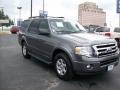 2010 Sterling Grey Metallic Ford Expedition XLT  photo #1