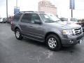 2010 Sterling Grey Metallic Ford Expedition XLT  photo #2