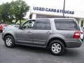 2010 Sterling Grey Metallic Ford Expedition XLT  photo #14