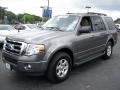 2010 Sterling Grey Metallic Ford Expedition XLT  photo #15