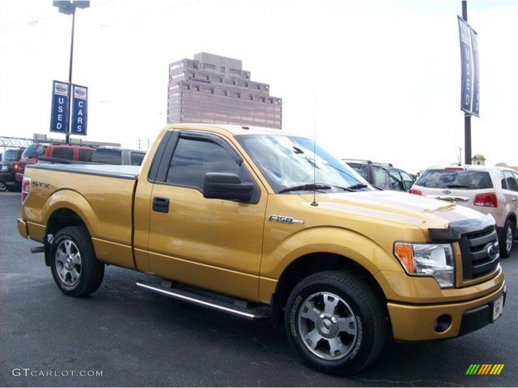 Amber Gold Metallic 2009 Ford F150 STX Regular Cab Exterior Photo #63858773