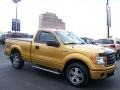 Amber Gold Metallic 2009 Ford F150 STX Regular Cab Exterior