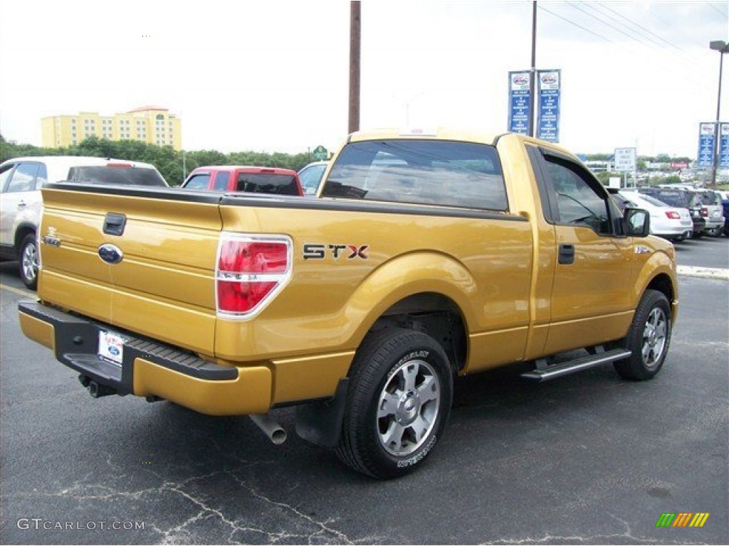 Amber Gold Metallic 2009 Ford F150 STX Regular Cab Exterior Photo #63858782