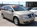 Light Sandstone Metallic - Grand Caravan SXT Photo No. 19
