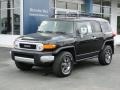 Black Diamond - FJ Cruiser 4WD Photo No. 43