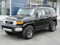 Black Diamond - FJ Cruiser 4WD Photo No. 47