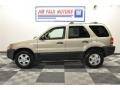 2003 Gold Ash Metallic Ford Escape XLT V6  photo #1