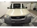 2003 Gold Ash Metallic Ford Escape XLT V6  photo #4