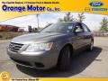 Willow Gray - Sonata GLS Photo No. 1