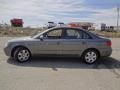 Willow Gray - Sonata GLS Photo No. 2