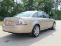Dune Pearl Metallic - Taurus SEL Photo No. 5