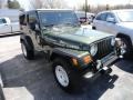 2006 Jeep Green Metallic Jeep Wrangler Rubicon 4x4  photo #3