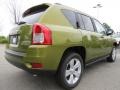 Rescue Green Metallic - Compass Sport Photo No. 3