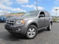 2009 Sterling Grey Metallic Ford Escape XLT 4WD  photo #1