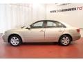 Camel Pearl - Sonata GLS Photo No. 3