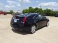 Black Raven - CTS Coupe Photo No. 3
