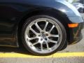 Black Obsidian - G 35 Coupe Photo No. 30