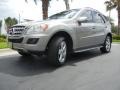 Pewter Metallic - ML 350 Photo No. 2