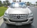 Pewter Metallic - ML 350 Photo No. 3
