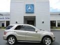 Pewter Metallic - ML 350 Photo No. 5