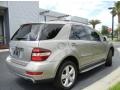 Pewter Metallic - ML 350 Photo No. 6