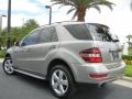 Pewter Metallic - ML 350 Photo No. 8
