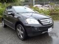 Black - ML 350 4Matic Photo No. 1