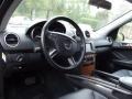 Black - ML 350 4Matic Photo No. 4