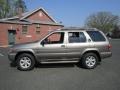 Polished Pewter Metallic - Pathfinder SE 4x4 Photo No. 1