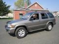 Polished Pewter Metallic - Pathfinder SE 4x4 Photo No. 3