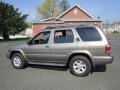 Polished Pewter Metallic - Pathfinder SE 4x4 Photo No. 4