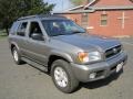 Polished Pewter Metallic - Pathfinder SE 4x4 Photo No. 11