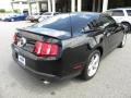 2010 Black Ford Mustang GT Coupe  photo #10