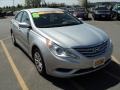 Radiant Silver - Sonata GLS Photo No. 9
