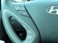 Radiant Silver - Sonata GLS Photo No. 33