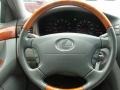 Millennium Silver Metallic - LS 430 Photo No. 16