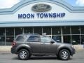 2012 Sterling Gray Metallic Ford Escape Limited V6 4WD  photo #1