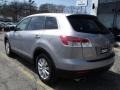 Liquid Platinum Metallic - CX-9 Sport AWD Photo No. 4