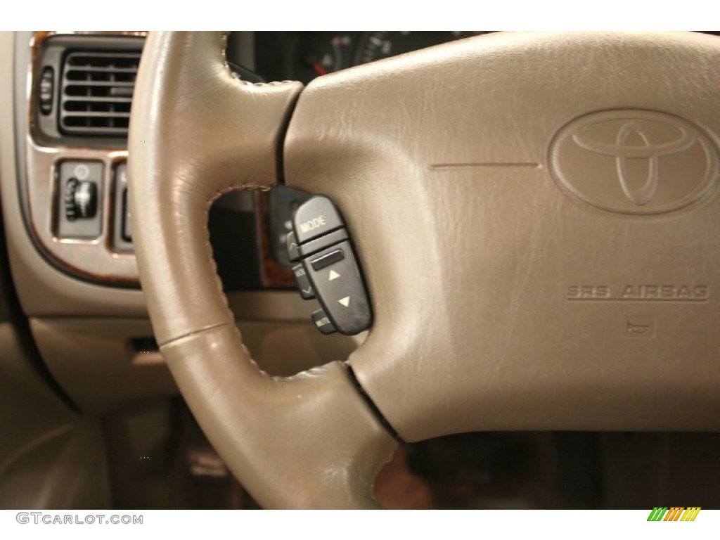 1999 Sienna XLE - Sable Pearl / Oak Beige photo #12