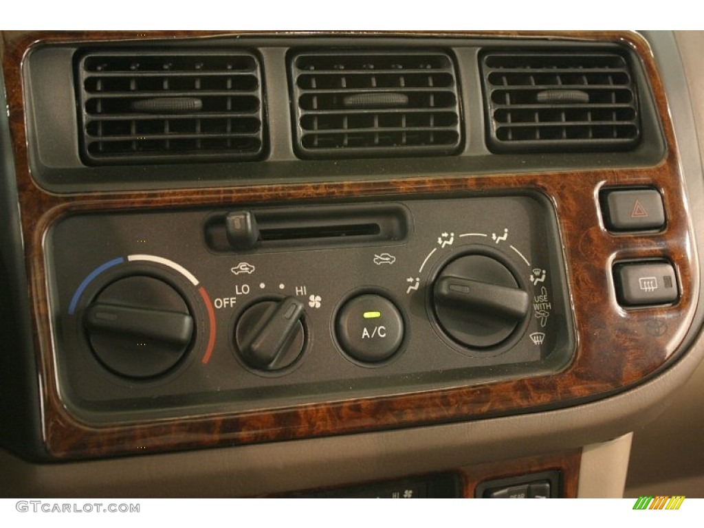 1999 Sienna XLE - Sable Pearl / Oak Beige photo #15