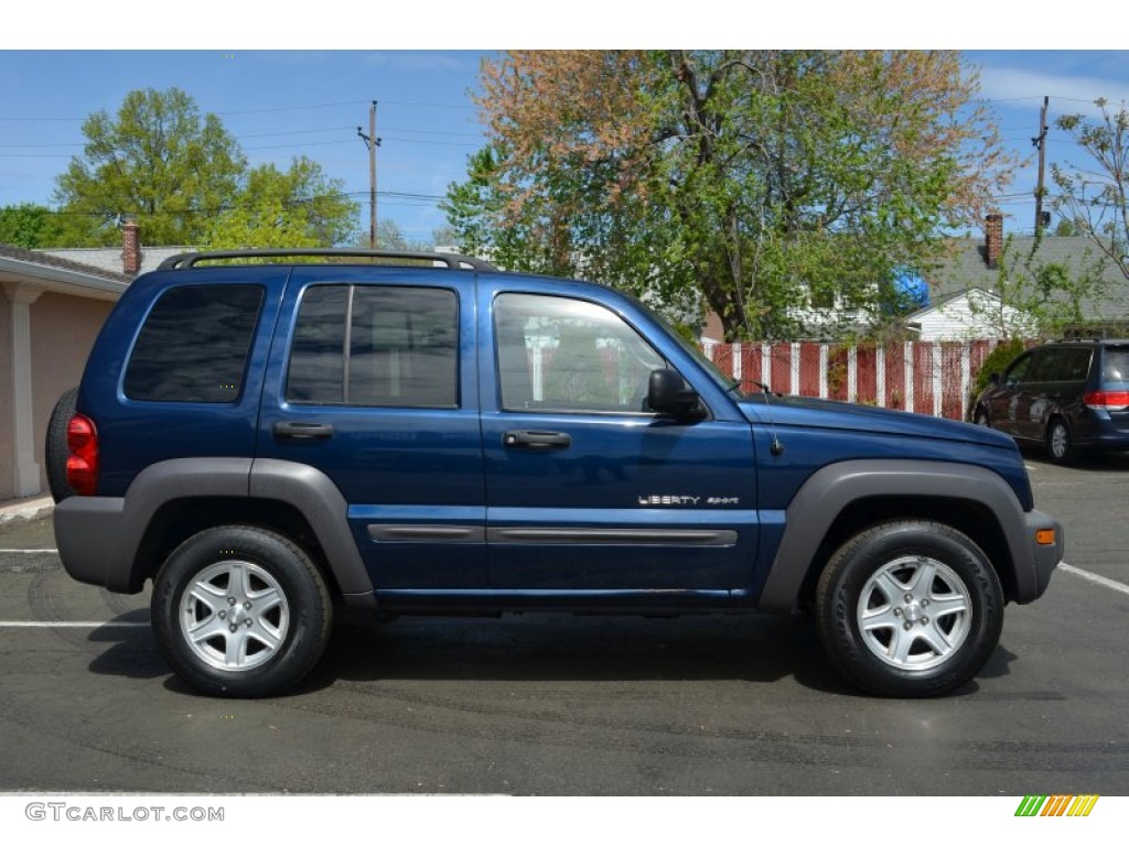 2002 Liberty Sport 4x4 - Patriot Blue Pearlcoat / Dark Slate Gray photo #11